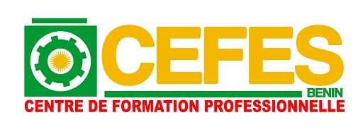 Logo CEFES Bénin formations